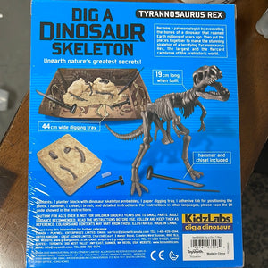 Dig A Dinosaur Skeleton
